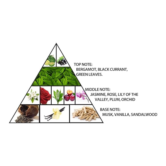 Al Haramain L'Aventure Gold Eau De Parfum – 3.4oz - Beauty Exchange Beauty Supply