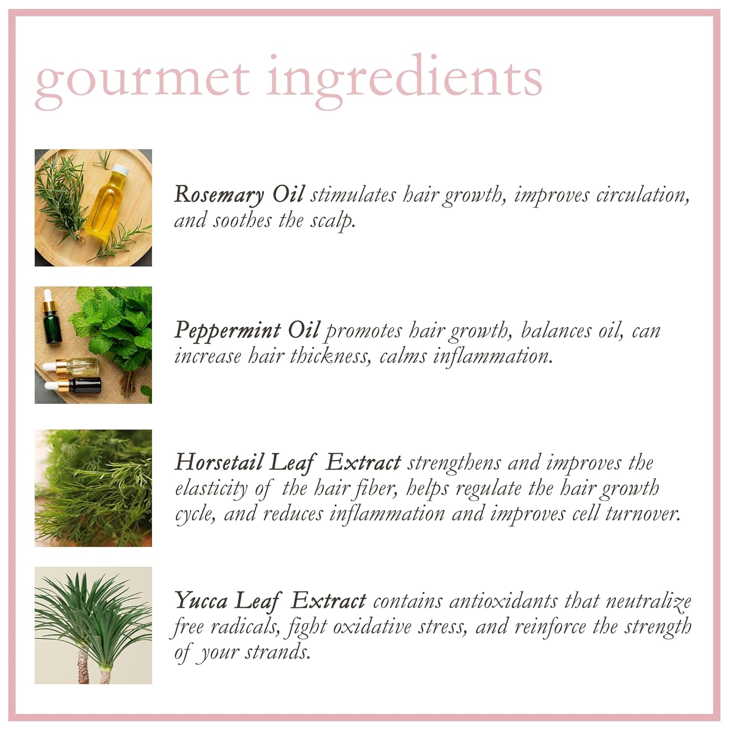 Camille Rose Rosemary Water – Refresh & Hydrate 8 oz - Beauty Exchange Beauty Supply