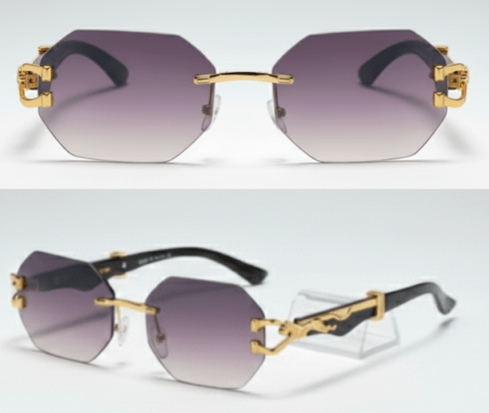 Chic Looks Sunglasses - EA0972 - Beauty Exchange Beauty Supply