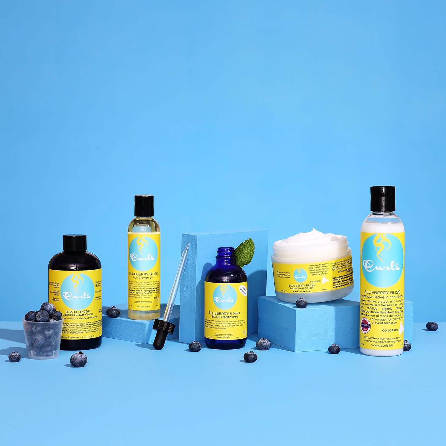 Curls Blueberry & Mint Tea Scalp Treatment – 4 oz - Beauty Exchange Beauty Supply