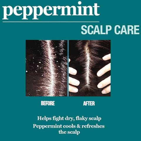 Difeel Peppermint Scalp Care Hair Mask – 12 oz - Beauty Exchange Beauty Supply