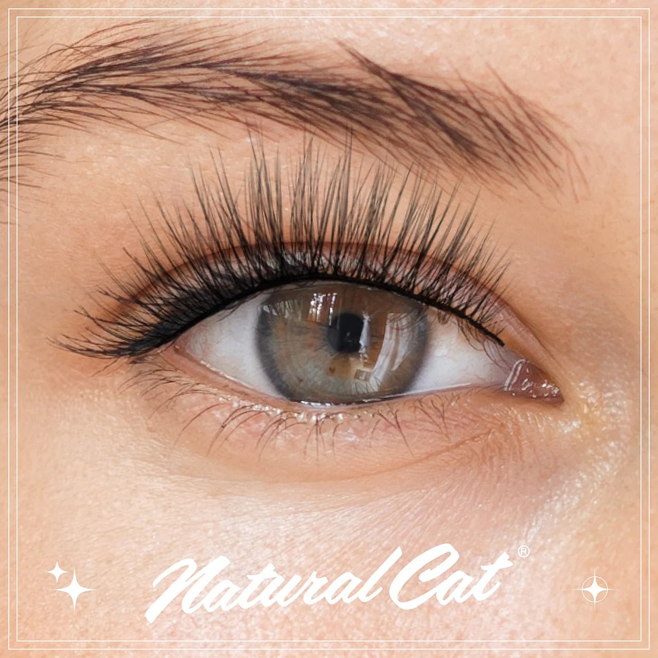 EBIN CATTITUDE Lashes Faux Mink Styles – 01 to 06 - Beauty Exchange Beauty Supply