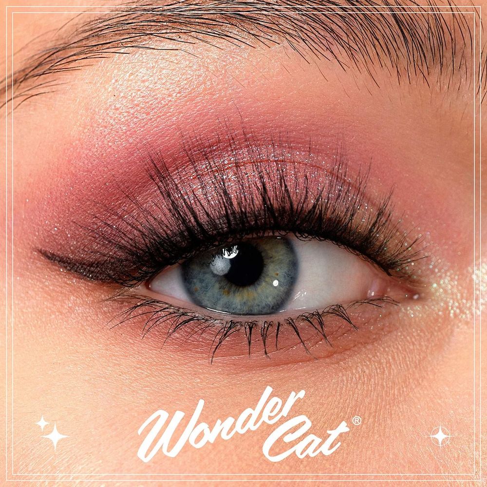 EBIN CATTITUDE Lashes Faux Mink Styles – 01 to 06 - Beauty Exchange Beauty Supply