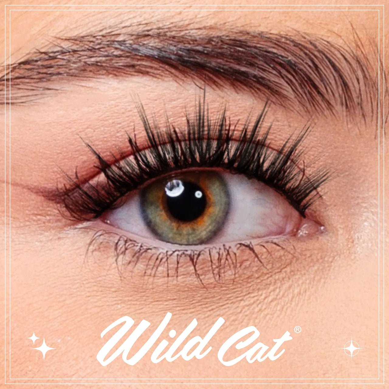 EBIN CATTITUDE Lashes Faux Mink Styles – 01 to 06 - Beauty Exchange Beauty Supply