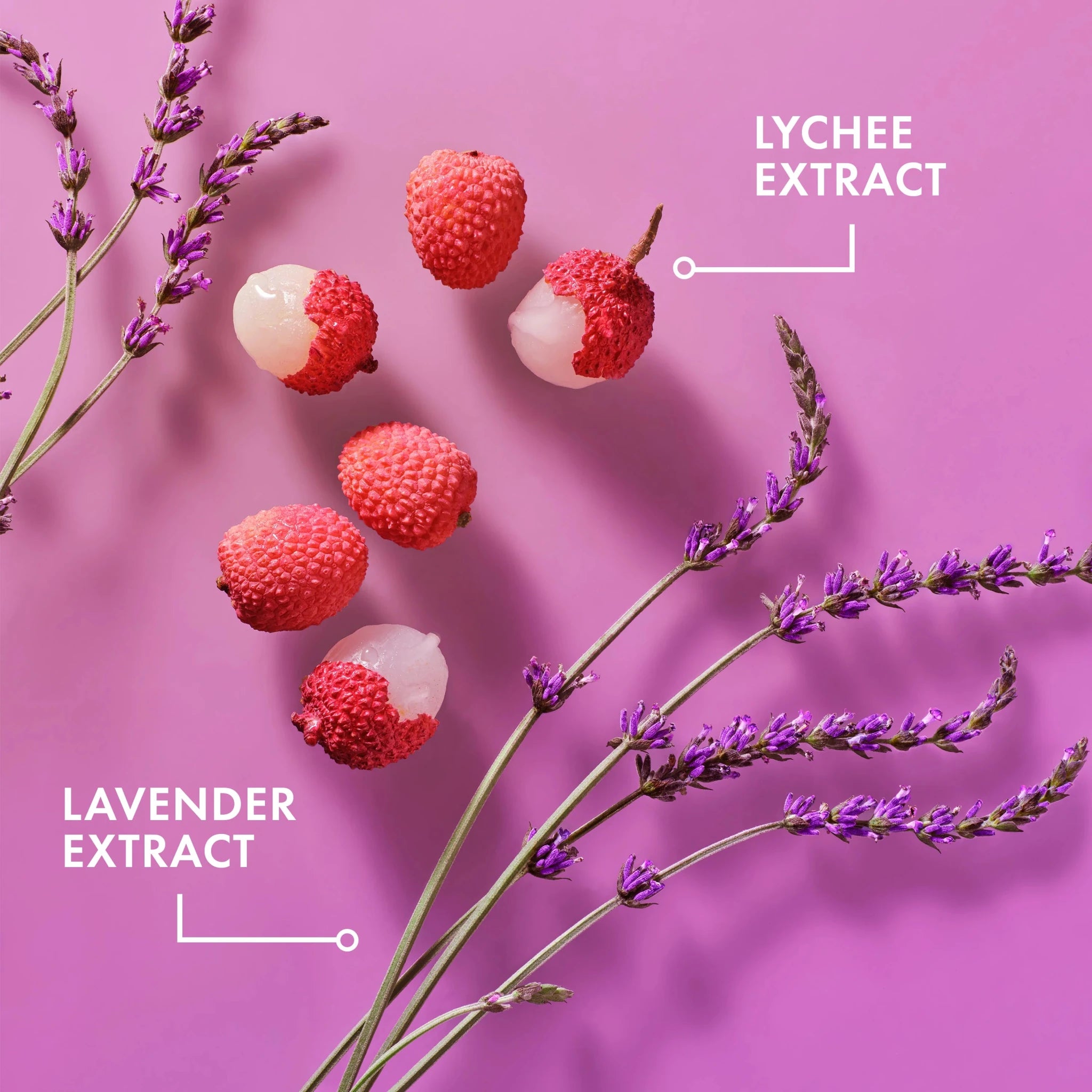 Mielle Lavender & Lychee Scalp Care Essentials – 4oz - Beauty Exchange Beauty Supply
