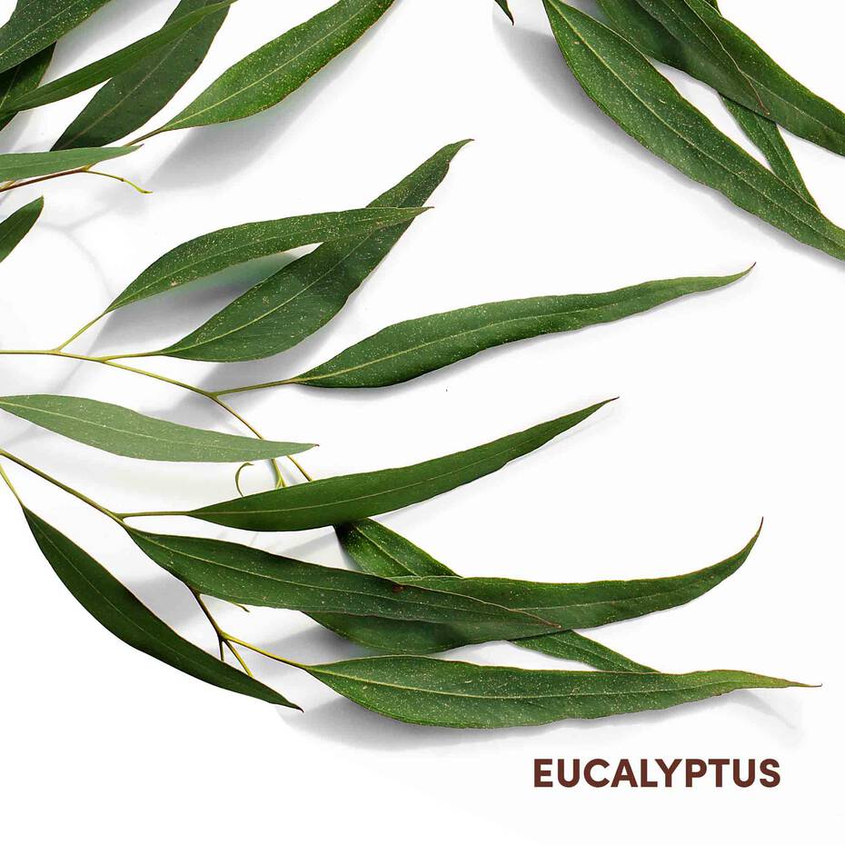 Mizani Scalp Care Calming Lotion | Nourishing Leave - In Scalp Treatment | 4oz - Beauty Exchange Beauty Supply