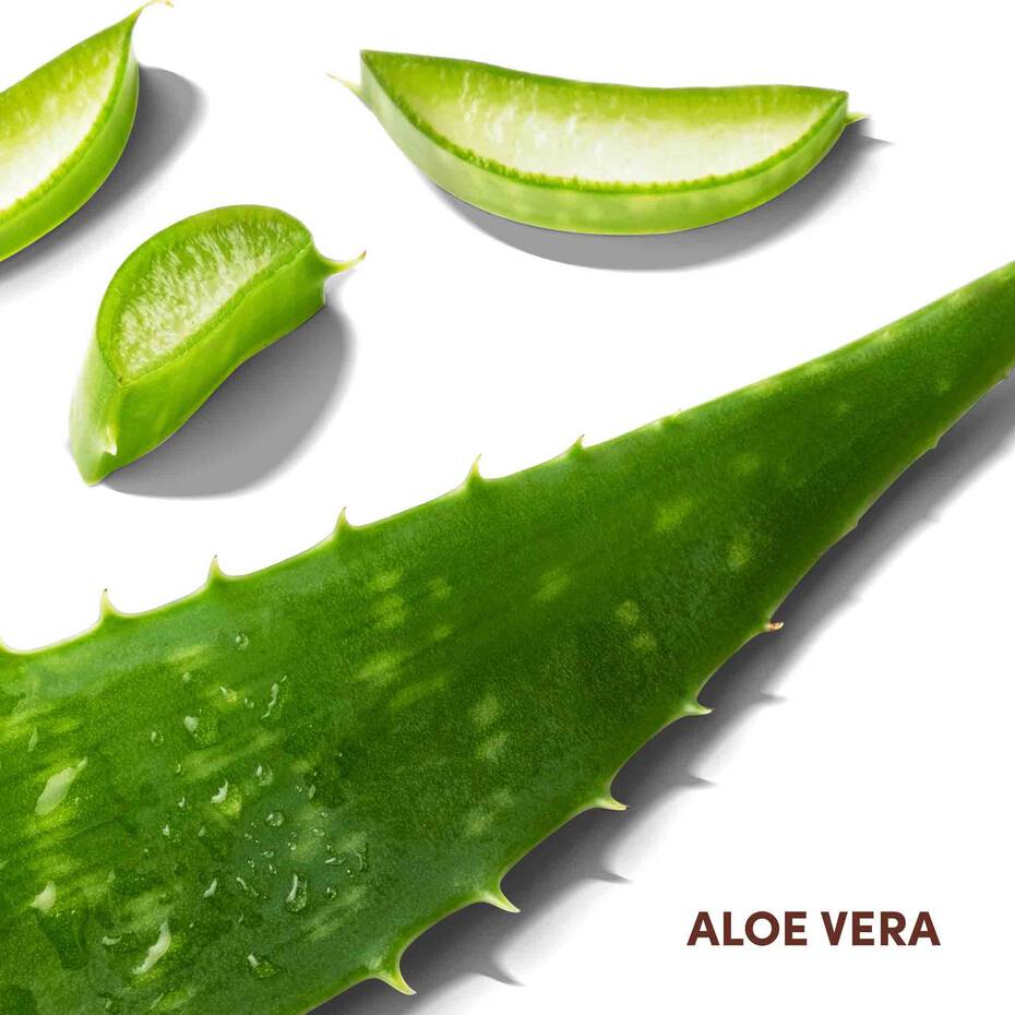 Mizani Scalp Care Calming Lotion | Nourishing Leave - In Scalp Treatment | 4oz - Beauty Exchange Beauty Supply