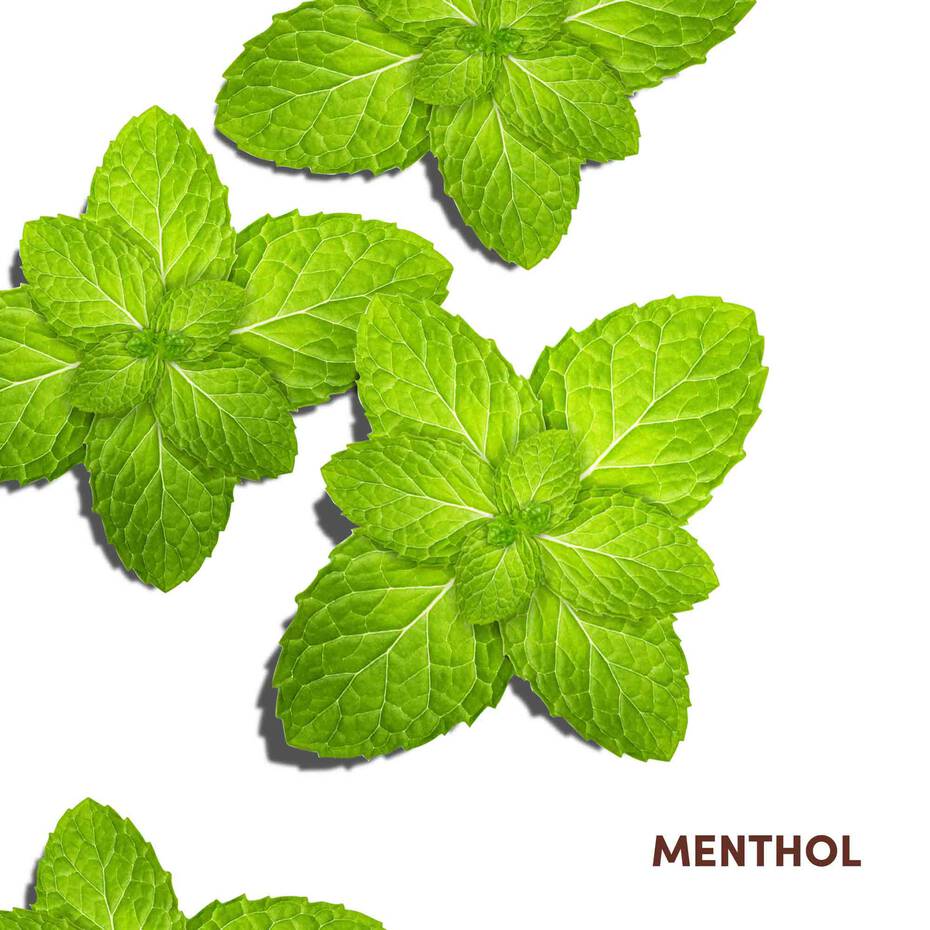 Mizani Scalp Care Calming Lotion | Nourishing Leave - In Scalp Treatment | 4oz - Beauty Exchange Beauty Supply