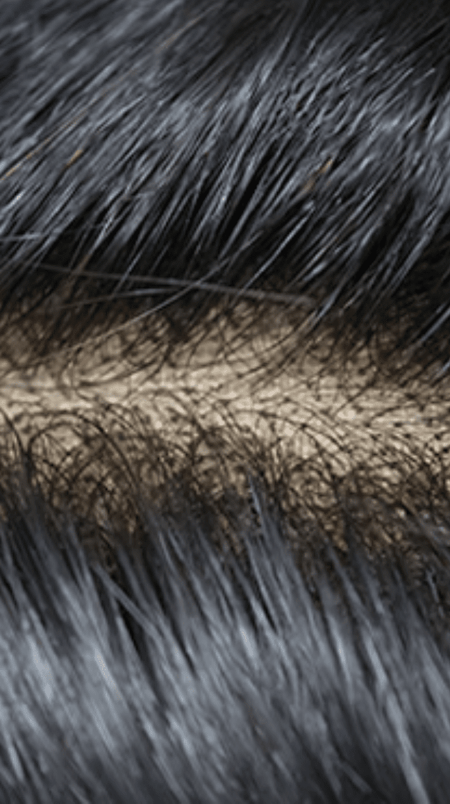 Rio Virgin Remy Human Hair Lace Closure – 5x5 - Beauty Exchange Beauty Supply