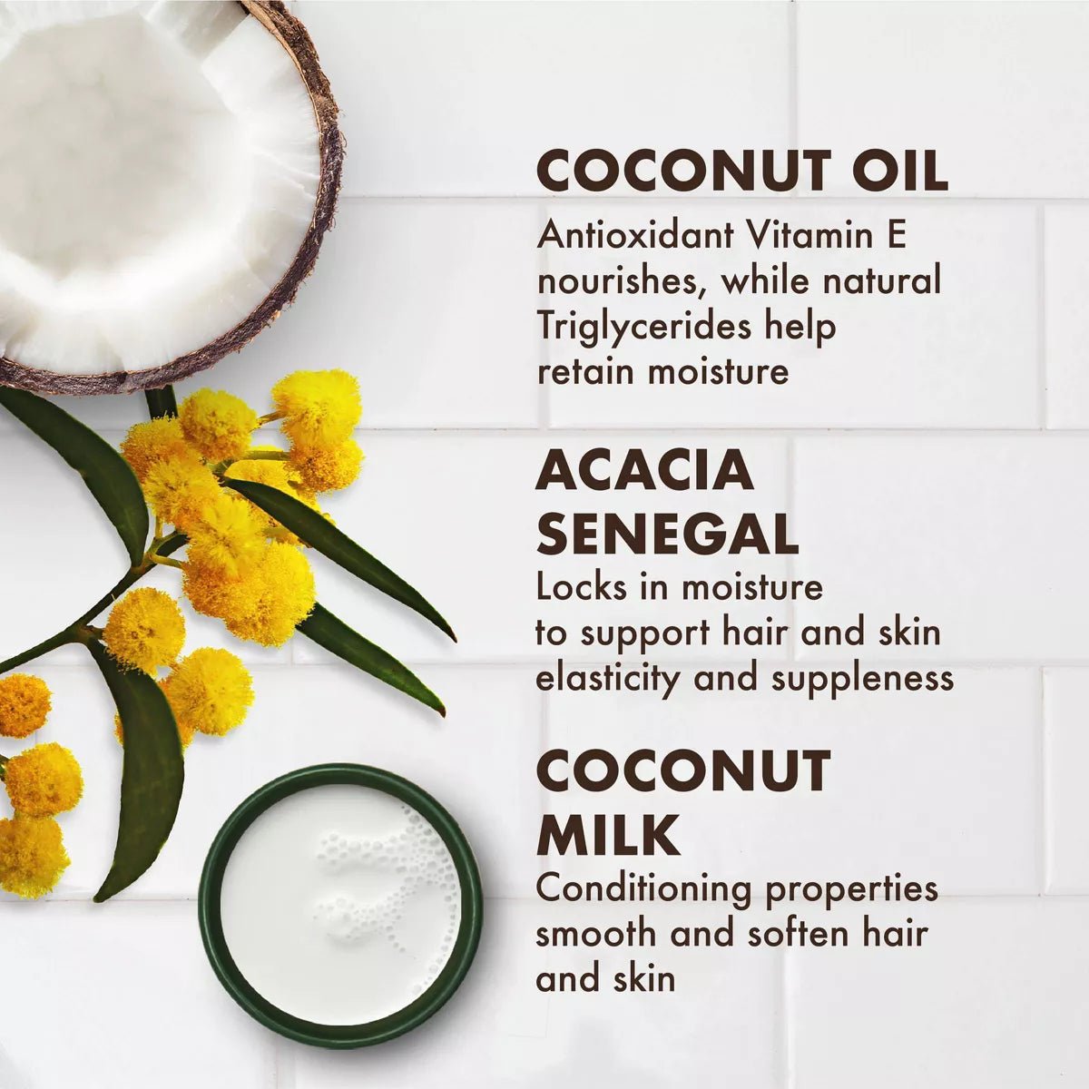 Shea Moisture Daily Hydration Masque – Virgin Coconut Oil - Beauty Exchange Beauty Supply