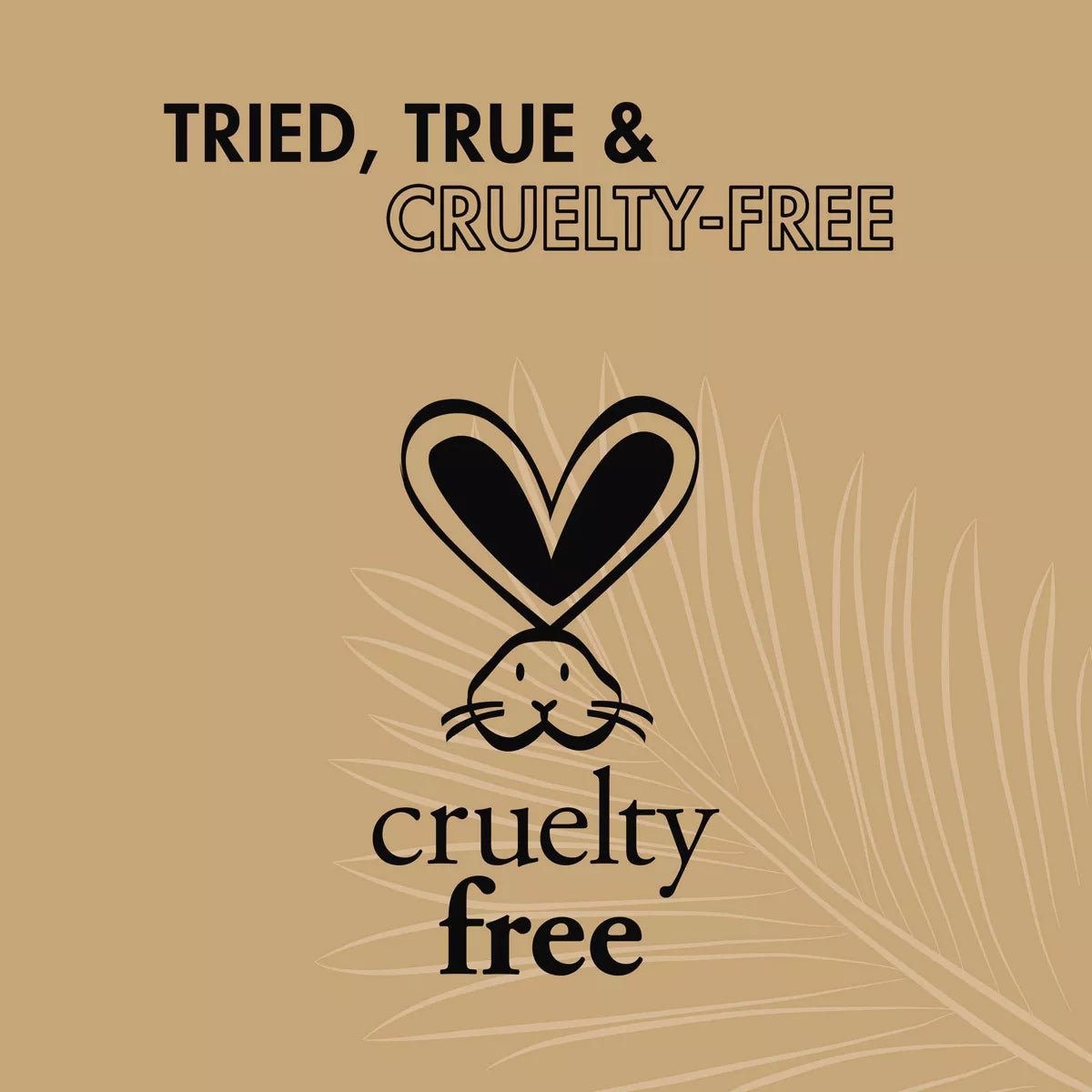 Shea Moisture Daily Hydration Masque – Virgin Coconut Oil - Beauty Exchange Beauty Supply