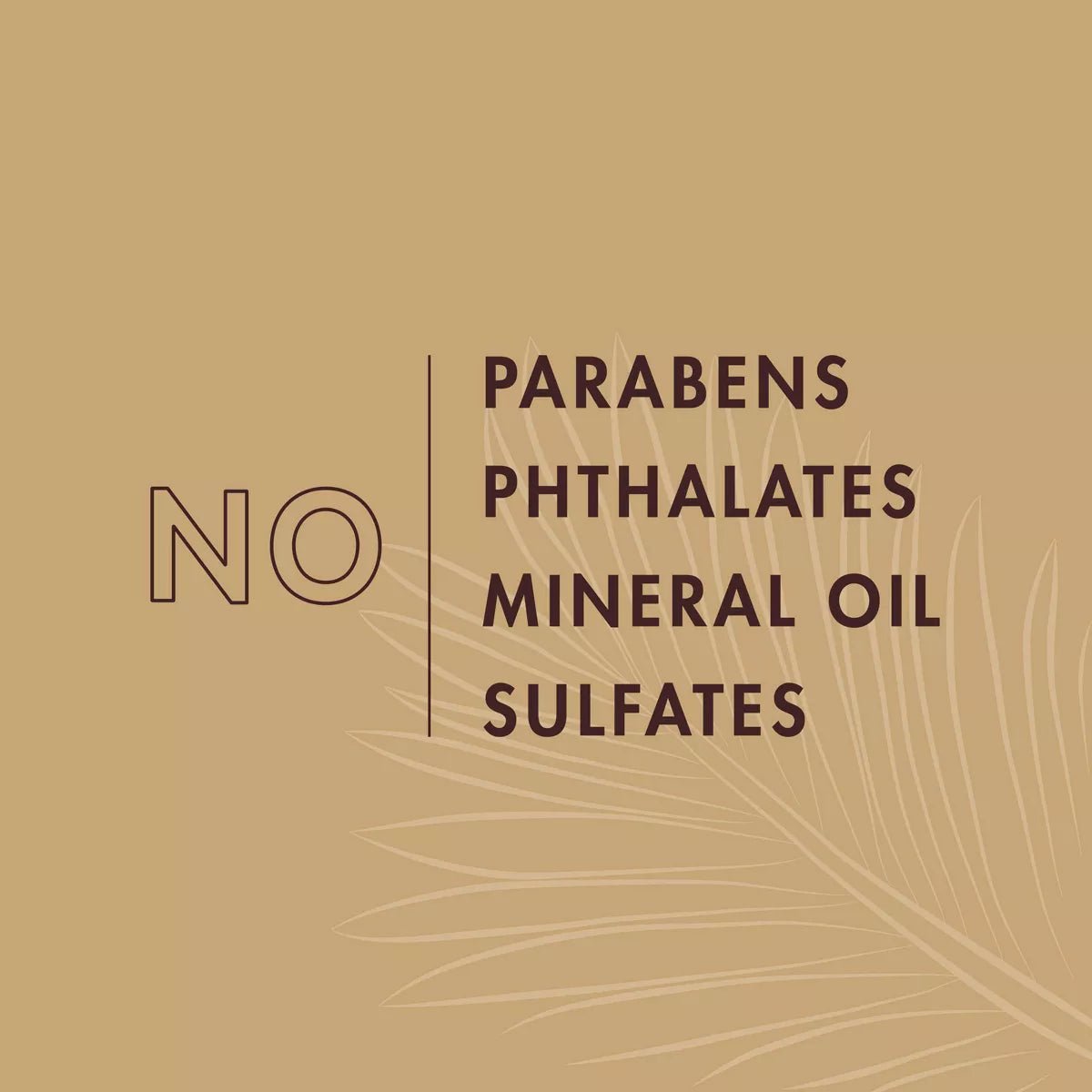 Shea Moisture Daily Hydration Masque – Virgin Coconut Oil - Beauty Exchange Beauty Supply