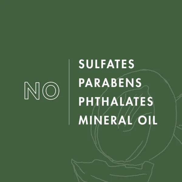 Shea Moisture Men Refreshing Shampoo – Vetiver & Neroli, 15 oz - Beauty Exchange Beauty Supply