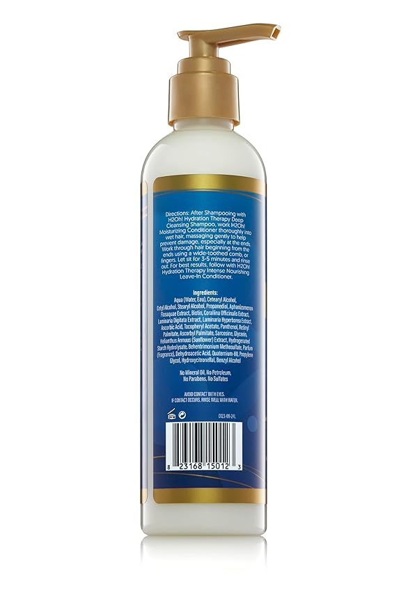 The Mane Choice H2Oh! Conditioner & Leave - In Conditioner Duo - Beauty Exchange Beauty Supply