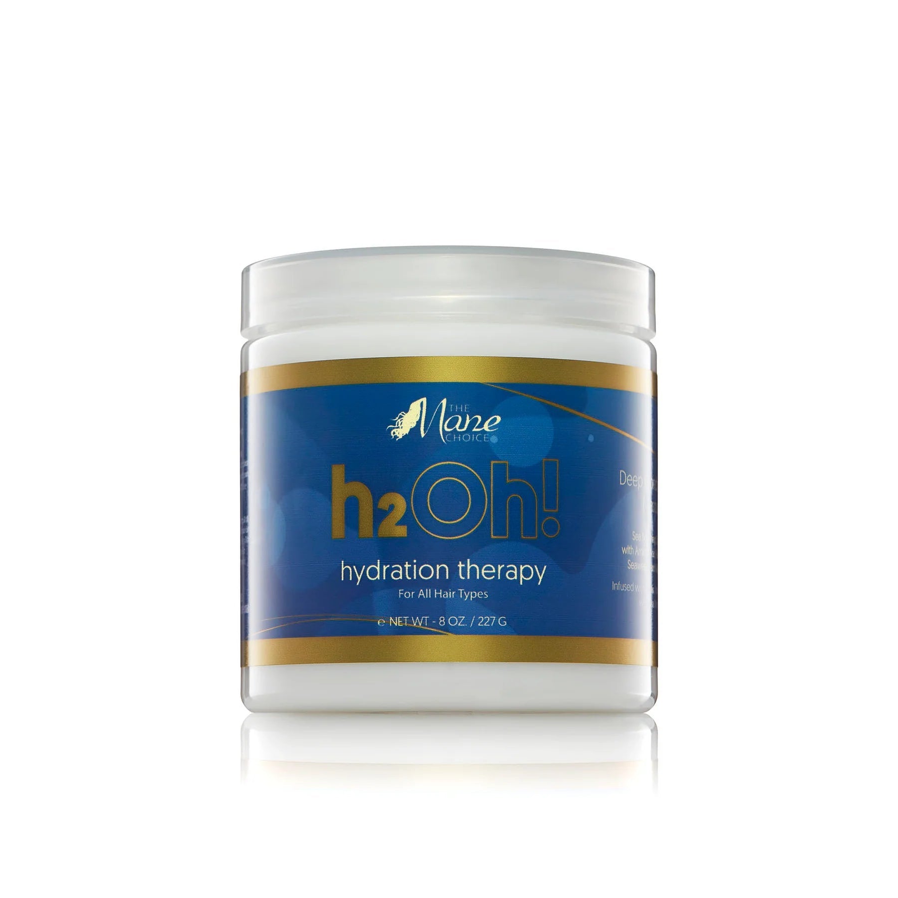 The Mane Choice H2Oh! Hydration Deep Conditioning Masque – 8 oz - Beauty Exchange Beauty Supply