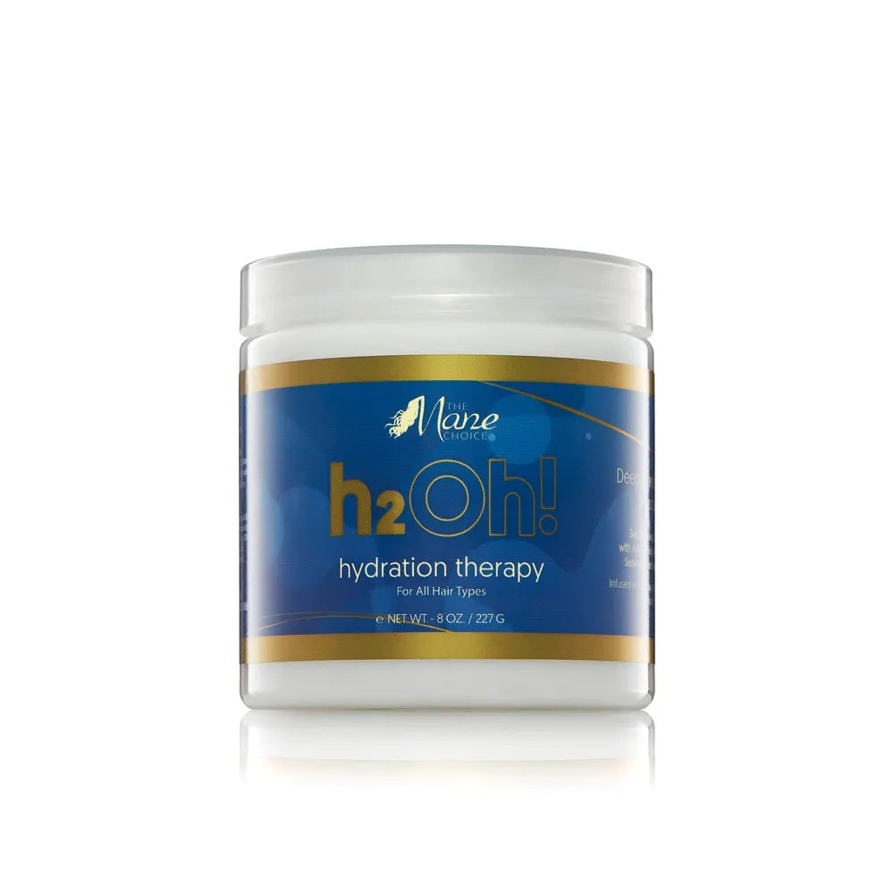 The Mane Choice H2Oh! Hydration Deep Conditioning Masque – 8 oz - Beauty Exchange Beauty Supply