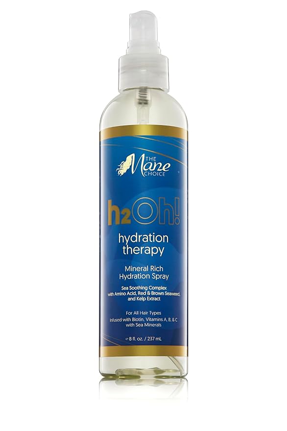 The Mane Choice H2Oh! Hydration Spray – 8 oz - Beauty Exchange Beauty Supply