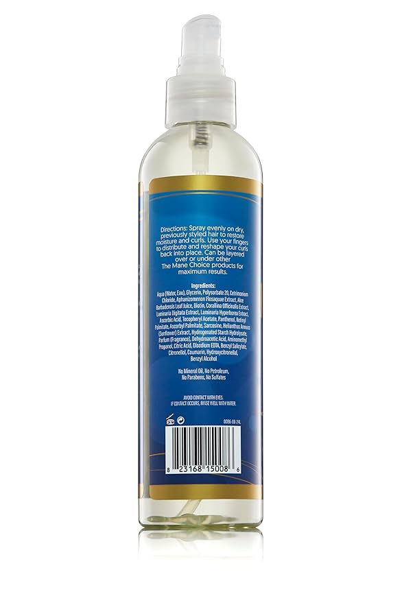 The Mane Choice H2Oh! Hydration Spray – 8 oz - Beauty Exchange Beauty Supply