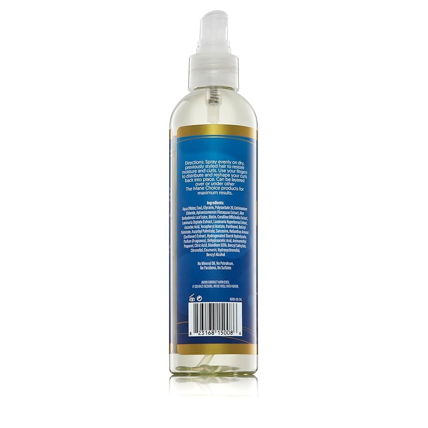 The Mane Choice H2Oh! Hydration Spray – 8 oz - Beauty Exchange Beauty Supply