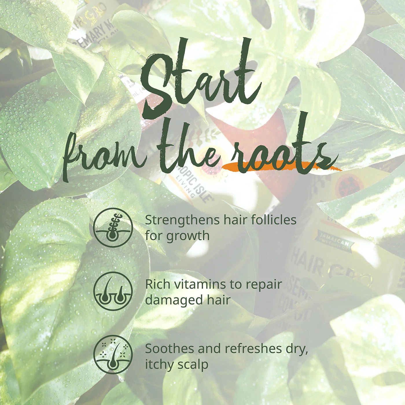 Tropic Isle Hair Gro Rosemary Mint Growth Oil – 4 oz - Beauty Exchange Beauty Supply