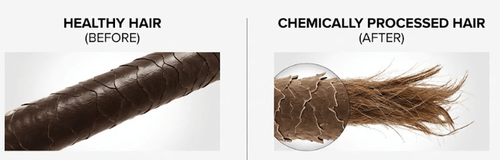 What Happens to Hair After Chemical Processing?