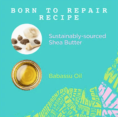 Carol’s Daughter Born to Repair Nourishing - Beauty Exchange Beauty Supply