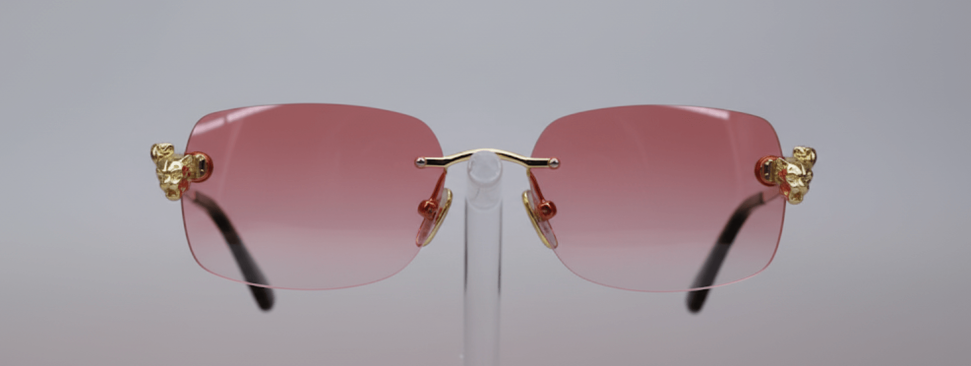 Chic Looks Sunglasses - EA0822 - Beauty Exchange Beauty Supply