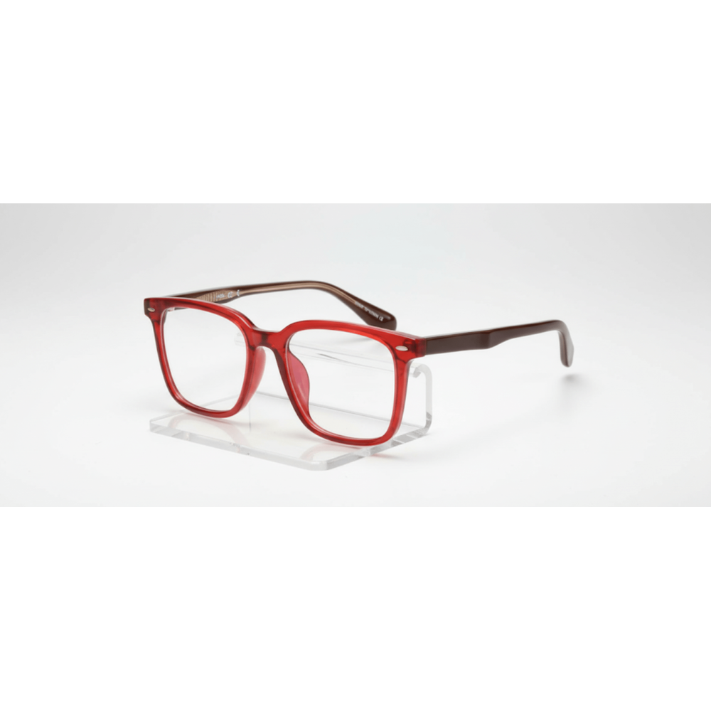 Chic Looks Sunglasses - EA2061C - Beauty Exchange Beauty Supply