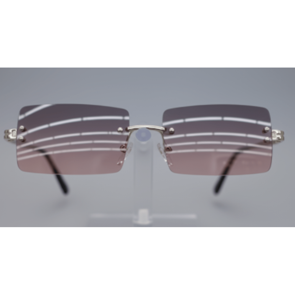 Chic Looks Sunglasses - Square Lens - Beauty Exchange Beauty Supply
