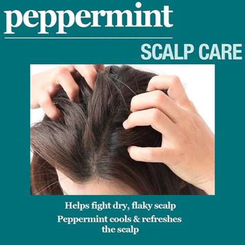 Difeel Peppermint Scalp Care Hair Mask – 12 oz - Beauty Exchange Beauty Supply