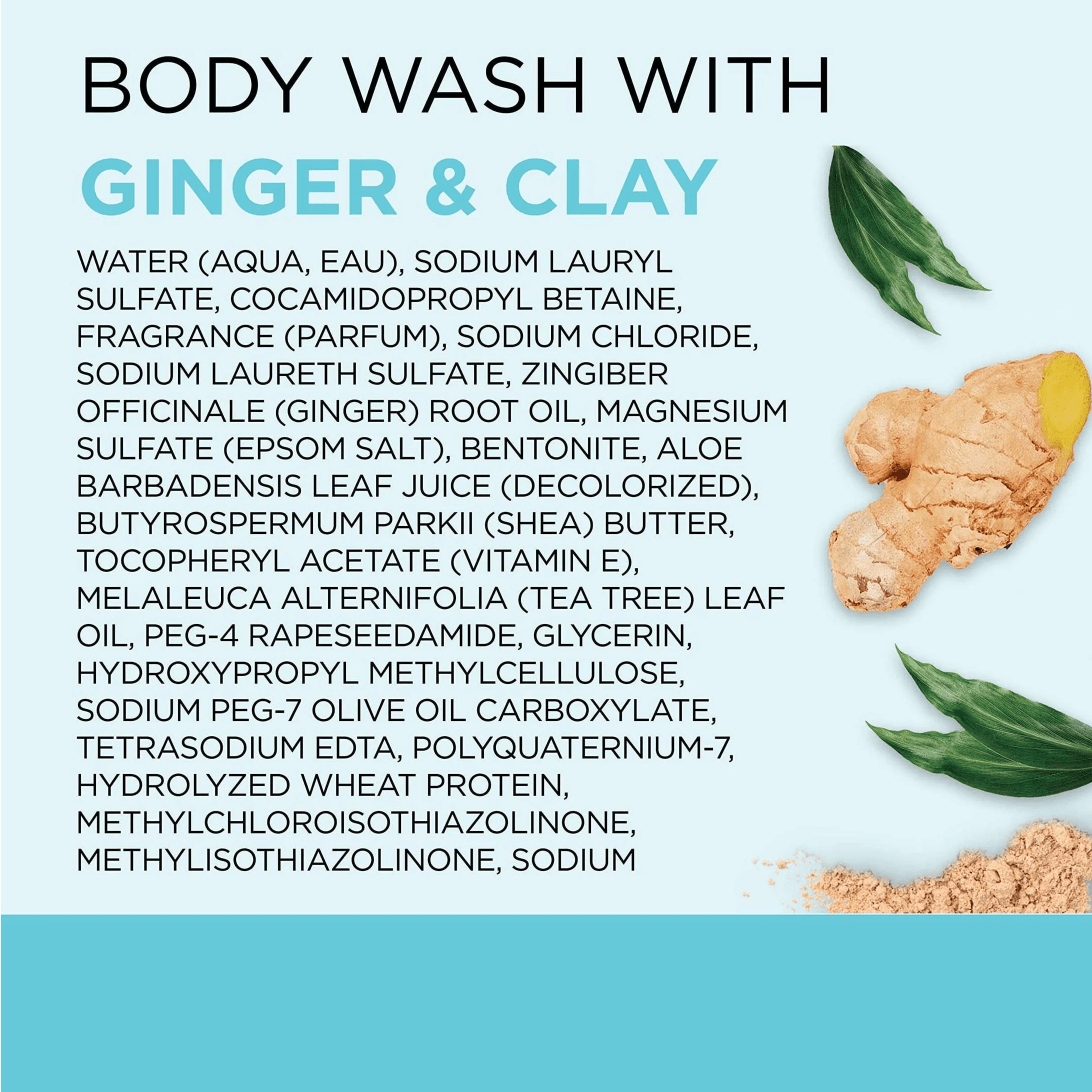 Dr. Teal's Detox & Energize with Ginger & Clay Body Wash – 24oz - Beauty Exchange Beauty Supply