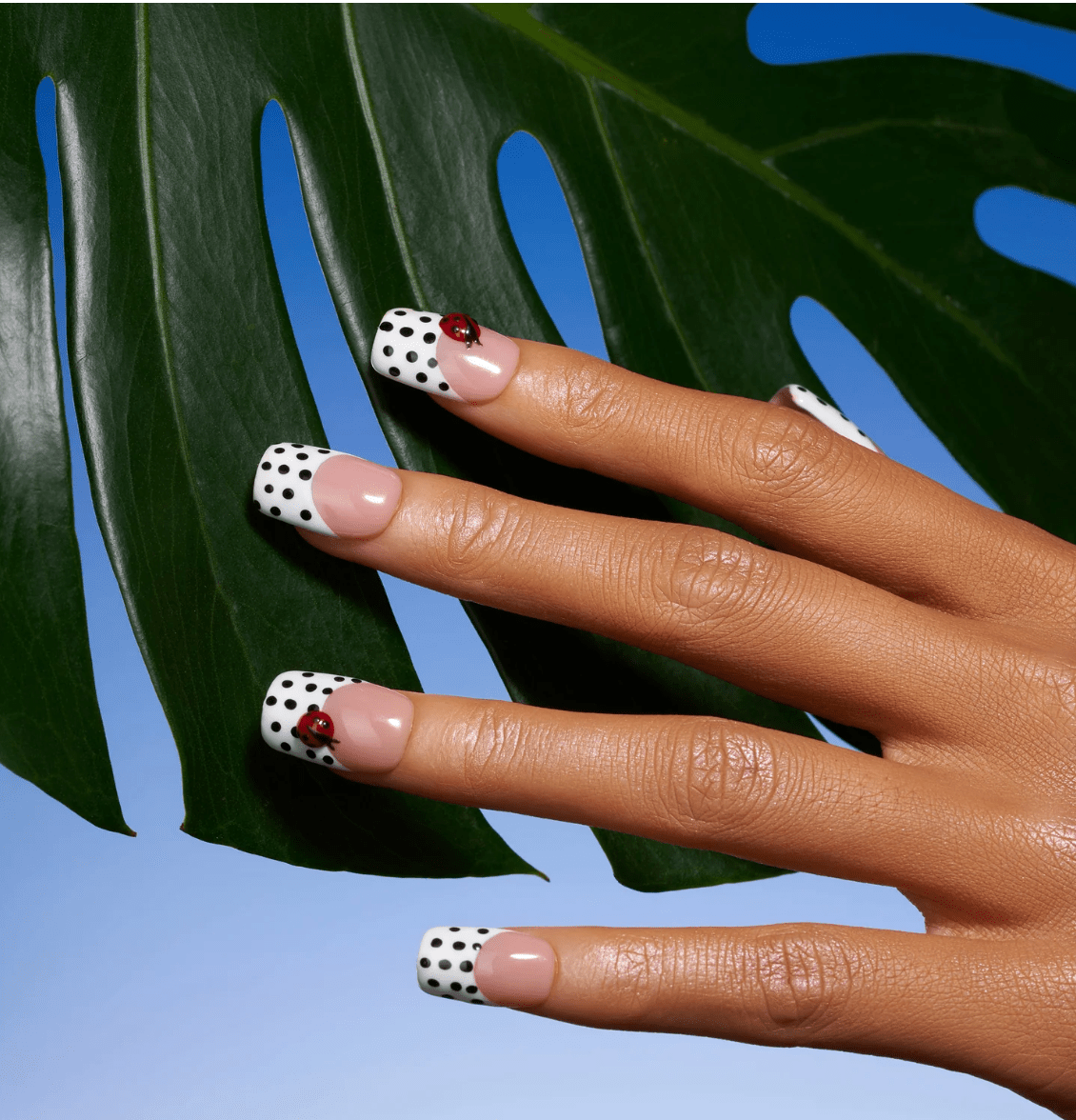 DRESUP Ladybug Dots Short Coffin Press-On Nails – 12 Pieces - Beauty Exchange Beauty Supply