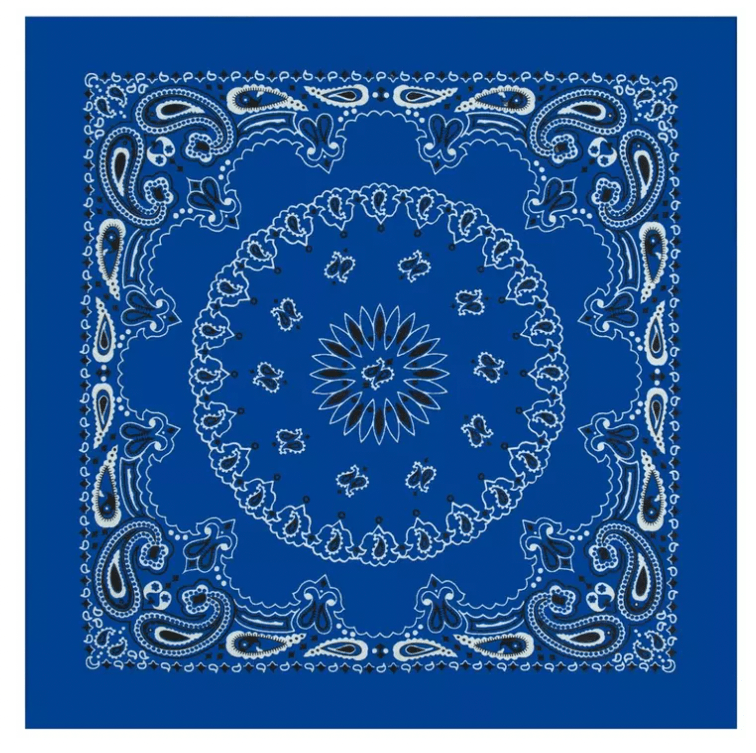 Eve Bandana – Assorted Colors & Prints - Beauty Exchange Beauty Supply