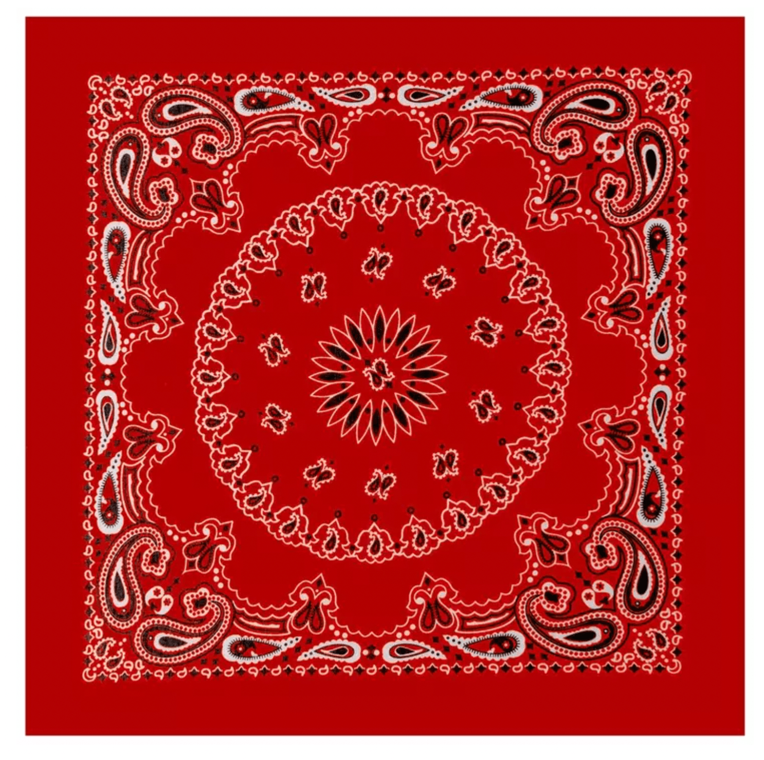 Eve Bandana – Assorted Colors & Prints - Beauty Exchange Beauty Supply