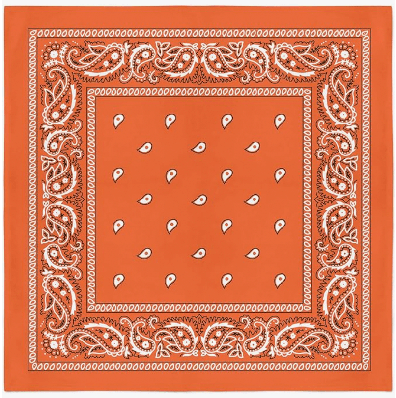 Eve Bandana – Assorted Colors & Prints - Beauty Exchange Beauty Supply