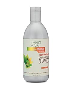 Hawaiian Silky 14 - in - 1 Charcoal Shampoo – 12oz - Beauty Exchange Beauty Supply