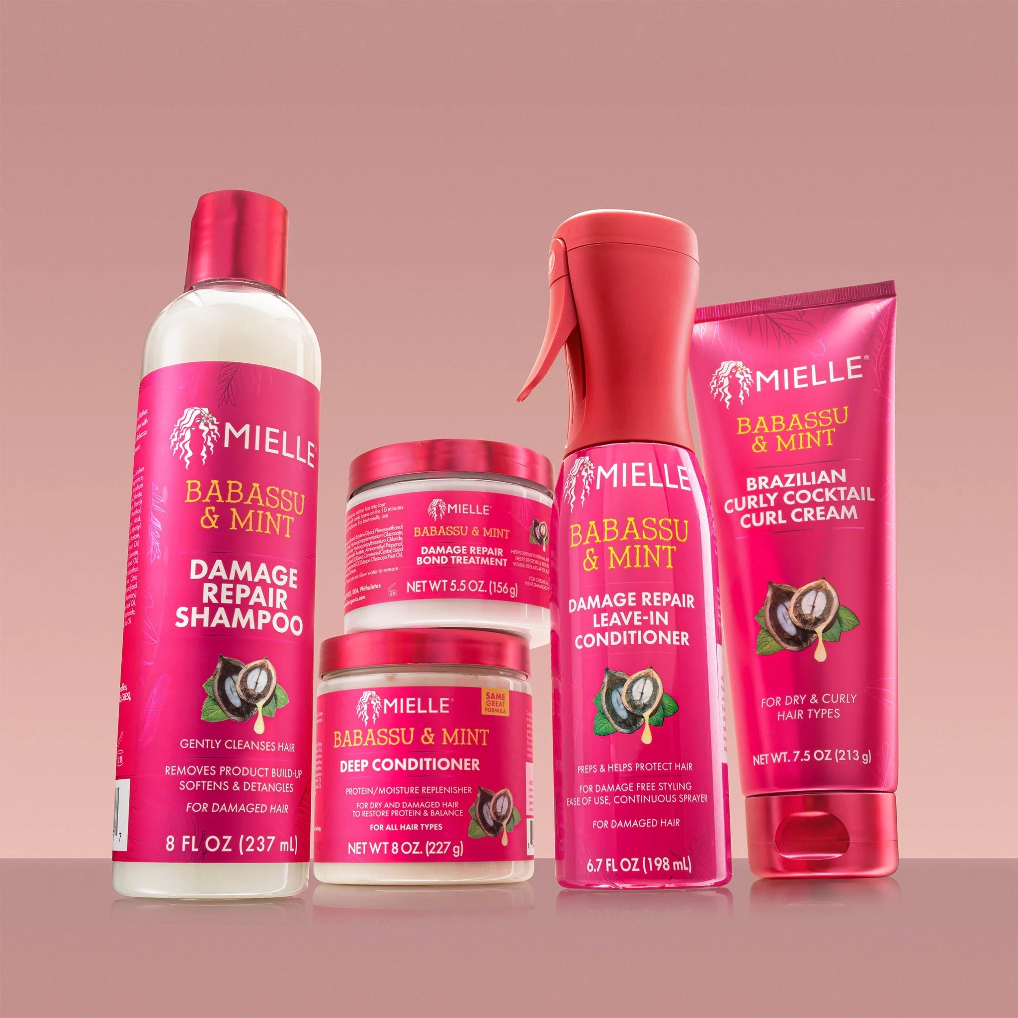 Mielle Babassu & Mint Leave - In Conditioner – 6.7oz - Beauty Exchange Beauty Supply