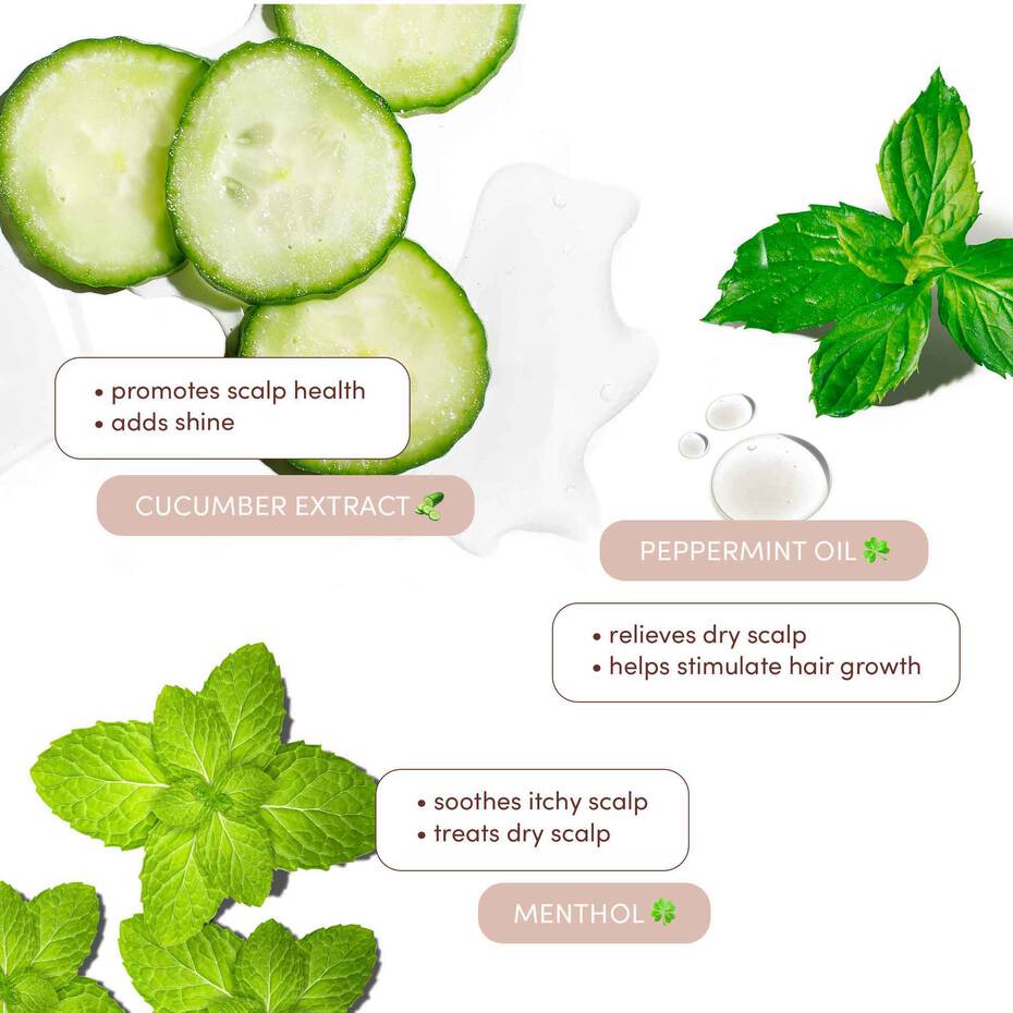 Mizani Scalp Care Hydrating Shampoo – 16.9oz - Beauty Exchange Beauty Supply