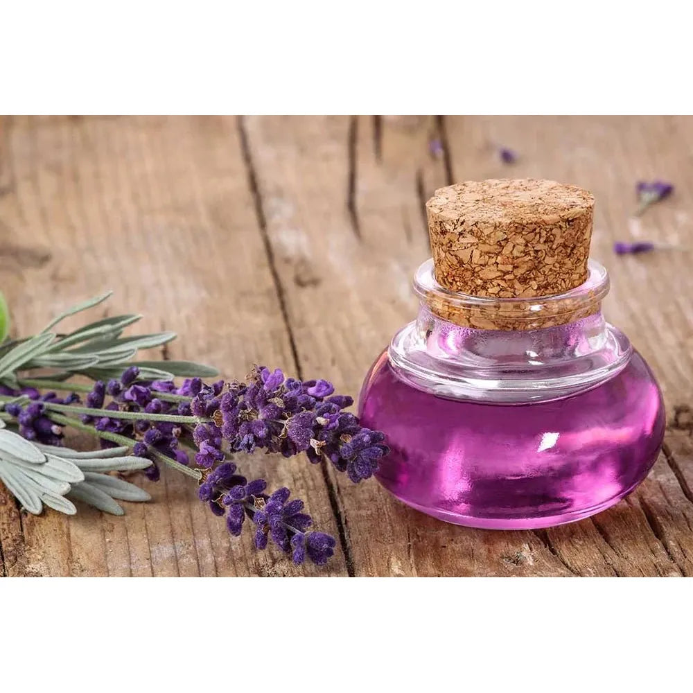 Organic Extract Lavender Oil – 15m - Beauty Exchange Beauty Supply