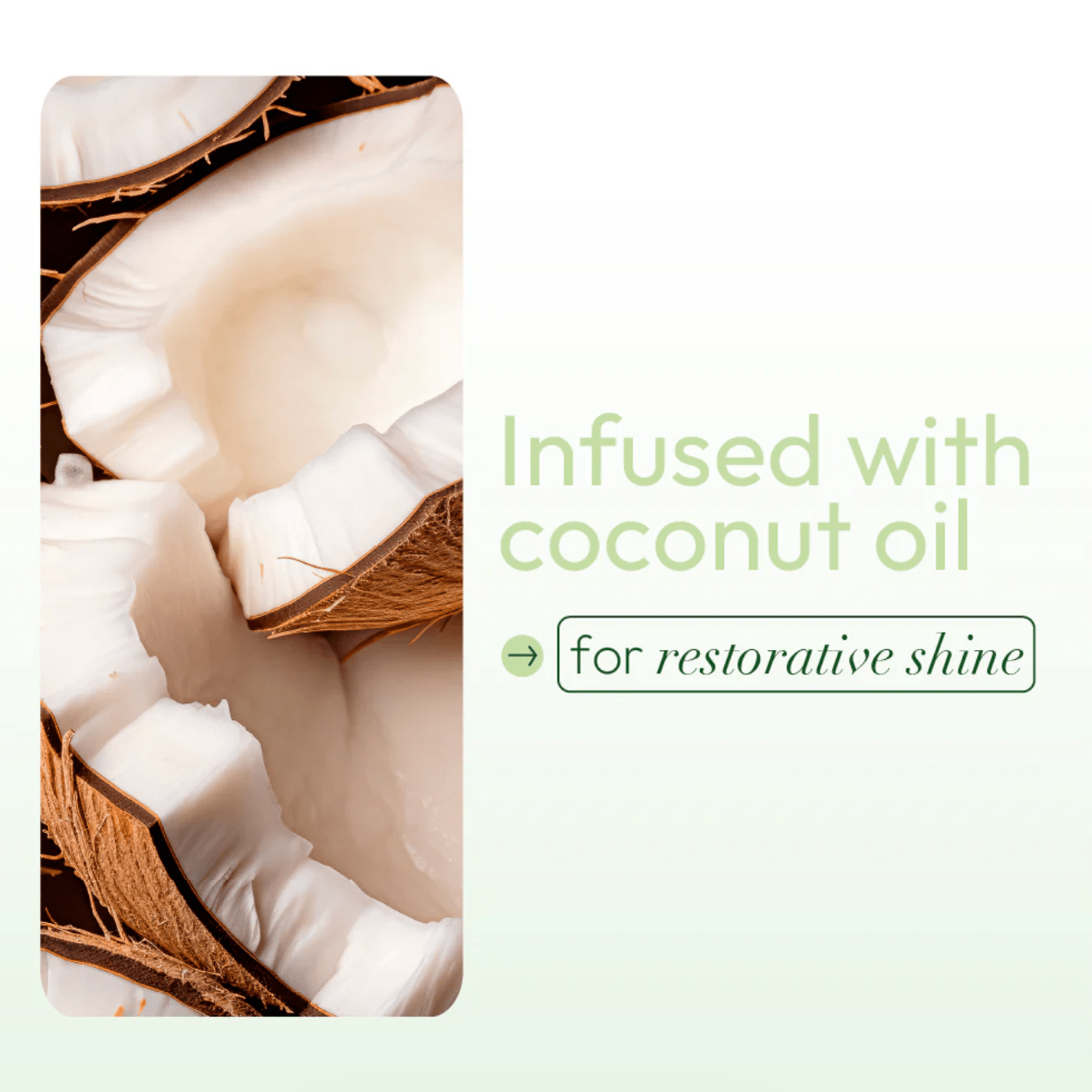 ORS Olive Oil Sheen Spray Coconut – 10 oz - Beauty Exchange Beauty Supply