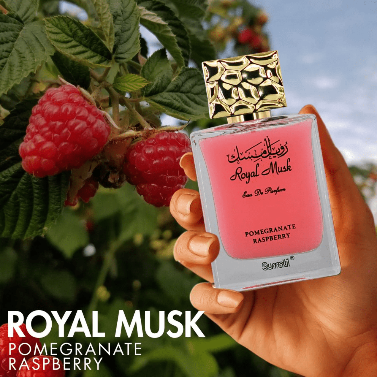Royal Musk Pomegranate Raspberry EDP by Surrati – 3.4 oz - Beauty Exchange Beauty Supply
