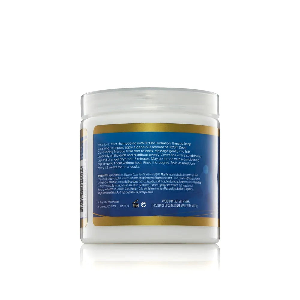 The Mane Choice H2Oh! Hydration Deep Conditioning Masque – 8 oz - Beauty Exchange Beauty Supply