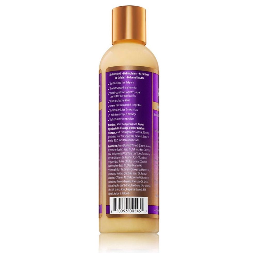 The Mane Choice Ancient Egyptian Anti-Breakage & Repair Antidote Shampoo 8oz - Beauty Exchange Beauty Supply